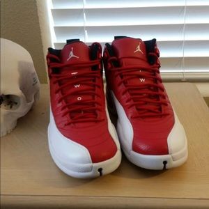 Air jordan 12 alternates